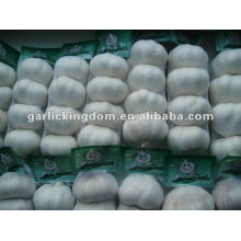 200g fresh normal white garlic